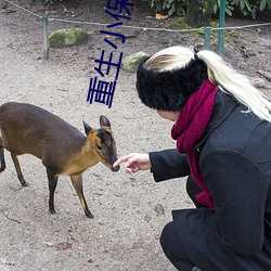 重生小保姆