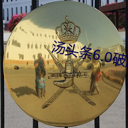 汤头条6.0破解版黄