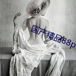 國産精品88p