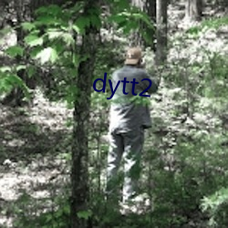 dytt2 ¹¶