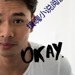 镇魂小说(shuō)阅读网