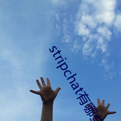 stripchat有哪些主播