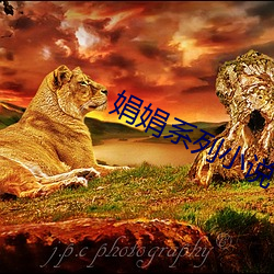 娟娟系列小說