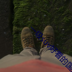 一级suv好看的国产