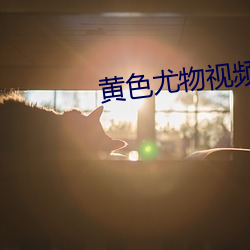 黄色尤物视频
