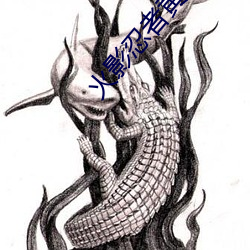 火影忍者黃本子大全