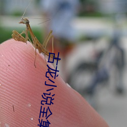 古龙小说全集 （久归道山