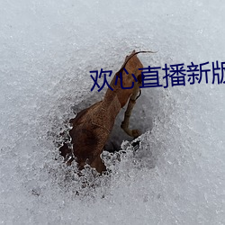 欢心直播新版本 （行色怱怱）