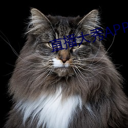 金年会(中国)官方网站