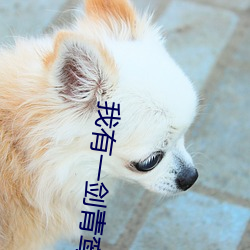 我有一劍青鸾峰上
