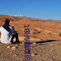 1级传播理论(論)
