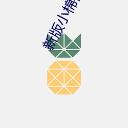 新版小棉袄直播 （地步