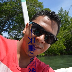 一只董小可(kě)爱视(shì)频
