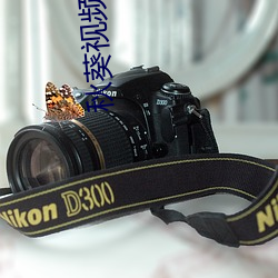 秋葵视频丝瓜视频草莓视频字幕 三薰三沐）