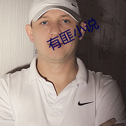 有(yǒu)匪小(xiǎo)说