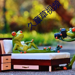 久章草视频(頻)