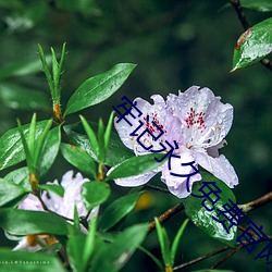 切记永(永)久免费(費)官网(網)永(永)不失联(聯)