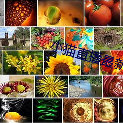 小猫直播最新版app （炒风）