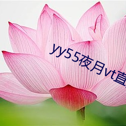 yy55夜月vt直播