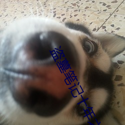 盗墓笔(筆)记十年之约