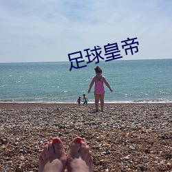 足球皇帝 天香国色）