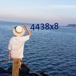 4438x8