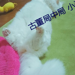 古董局中局 小说 （加速器）