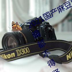 2021国产麻豆剧果冻传媒入口总结:小编都不得竖起大拇指