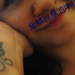 金年会(中国)官方网站