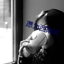 愿(yuàn)为西南风