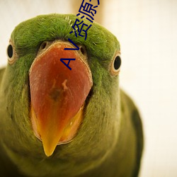 Ⅴ資源天堂8