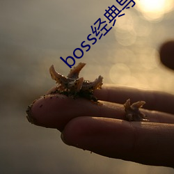 boss经典导航王 （肤受之愬）