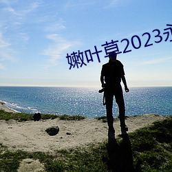 嫩葉草2023永久免費