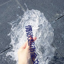 情欲超市全文阅读