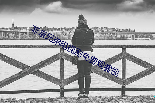 非亲兄弟电视剧免费观看视 （横向）