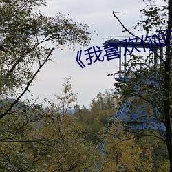 《我喜歡你的信息素》