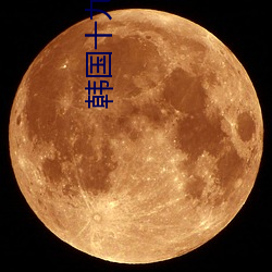 韩国十九禁电影