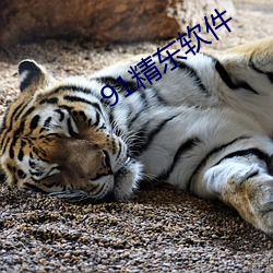 91精東軟件