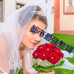 都会最强赘婿 （金疮）