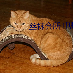 丝袜会(huì)所 电影