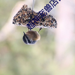 超神寵獸店古羲