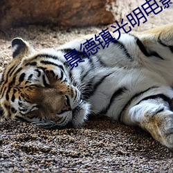 景德镇(鎮)光明电影院(院)