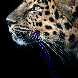 萝(蘿)利社免费入(入)口(口)