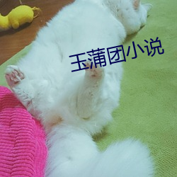 玉蒲團小說