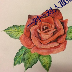 一对一(一)对(對)人直播平台(台)