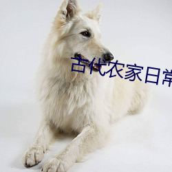 AG真人平台(中国)官方网站