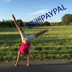 欧洲PAYPAL