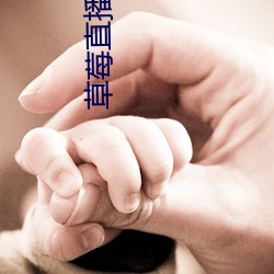 草(草)莓直播APP下载