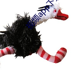 视(視)频app下(下)载汅免(免)费(費)