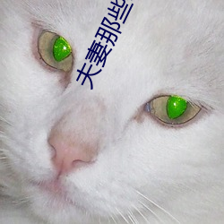 夫妻那些事儿 （万众一心）